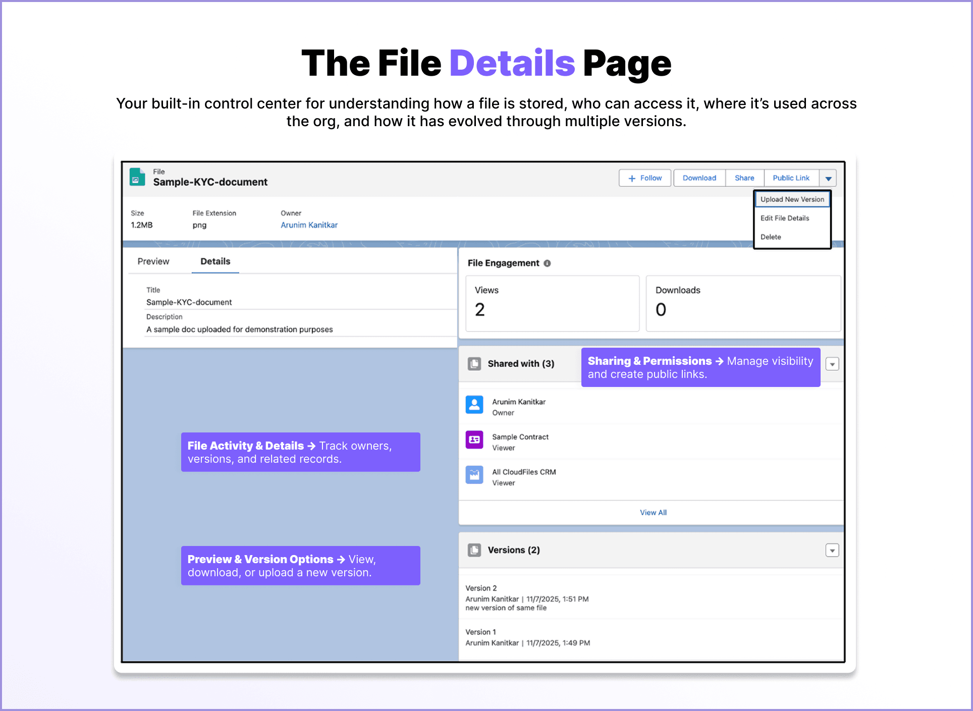 file details page